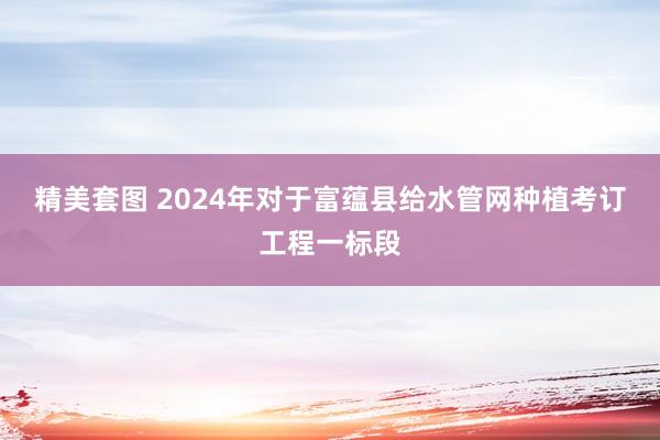 精美套图 2024年对于富蕴县给水管网种植考订工程一标段