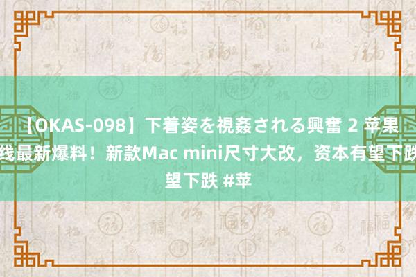 【OKAS-098】下着姿を視姦される興奮 2 苹果产物线最新爆料!新款Mac mini尺寸大改,资本有望下跌 #苹