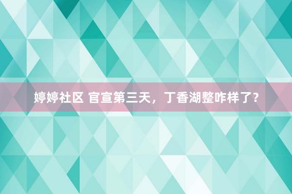 婷婷社区 官宣第三天,丁香湖整咋样了?