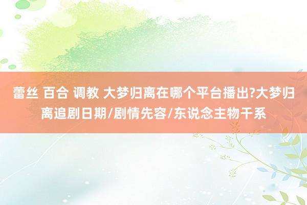 蕾丝 百合 调教 大梦归离在哪个平台播出?大梦归离追剧日期/剧情先容/东说念主物干系