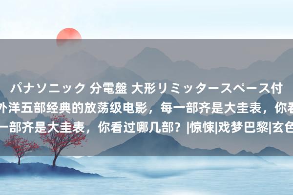 パナソニック 分電盤 大形リミッタースペース付 露出・半埋込両用形 外洋五部经典的放荡级电影，每一部齐是大圭表，你看过哪几部？|惊悚|戏梦巴黎|玄色幽默