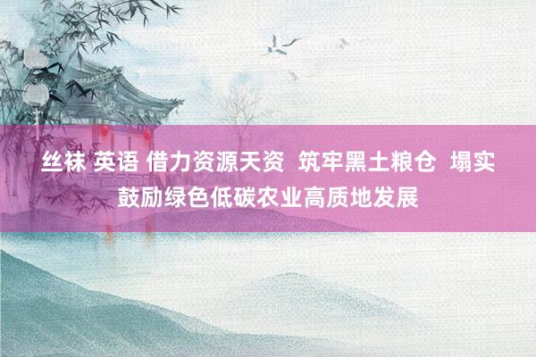 丝袜 英语 借力资源天资  筑牢黑土粮仓  塌实鼓励绿色低碳农业高质地发展