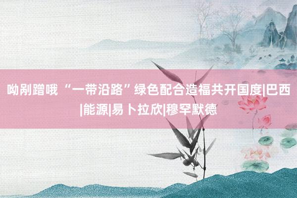呦剐蹭哦 “一带沿路”绿色配合造福共开国度|巴西|能源|易卜拉欣|穆罕默德