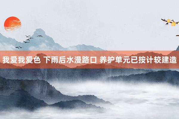 我爱我爱色 下雨后水漫路口 养护单元已按计较建造