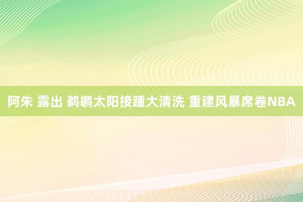 阿朱 露出 鹈鹕太阳接踵大清洗 重建风暴席卷NBA