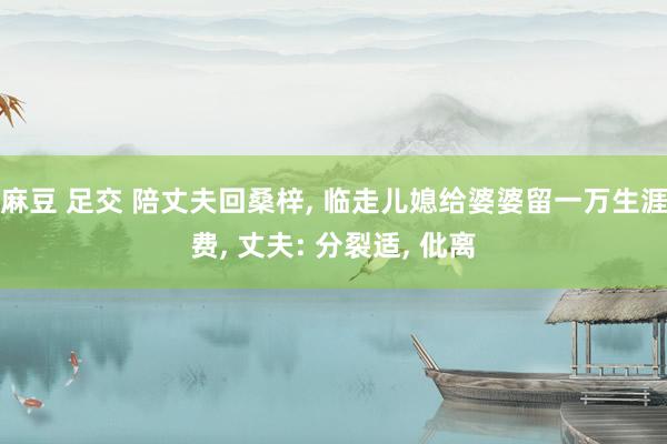 麻豆 足交 陪丈夫回桑梓， 临走儿媳给婆婆留一万生涯费， 丈夫: 分裂适， 仳离