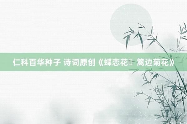 仁科百华种子 诗词原创《蝶恋花・篱边菊花》
