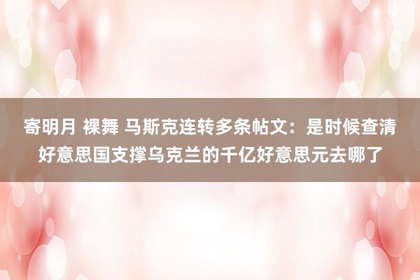 寄明月 裸舞 马斯克连转多条帖文：是时候查清好意思国支撑乌克兰的千亿好意思元去哪了